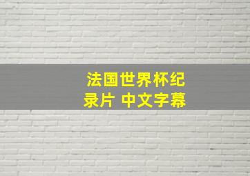 法国世界杯纪录片 中文字幕